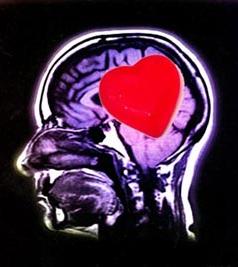 inteligencia emocional