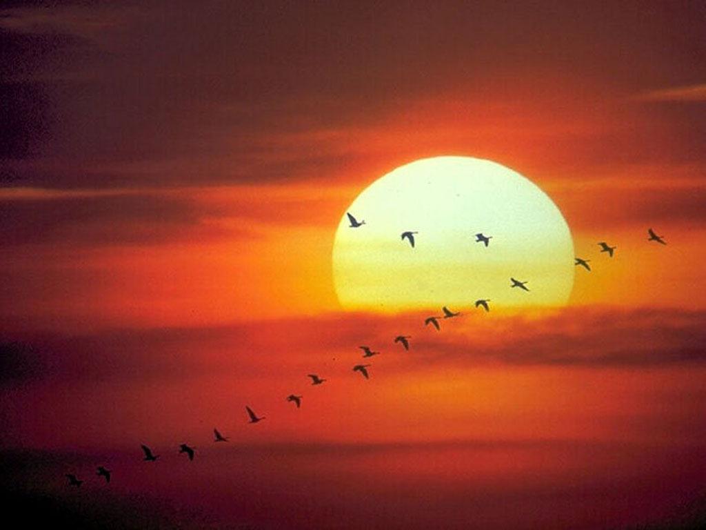 Puesta-Sol